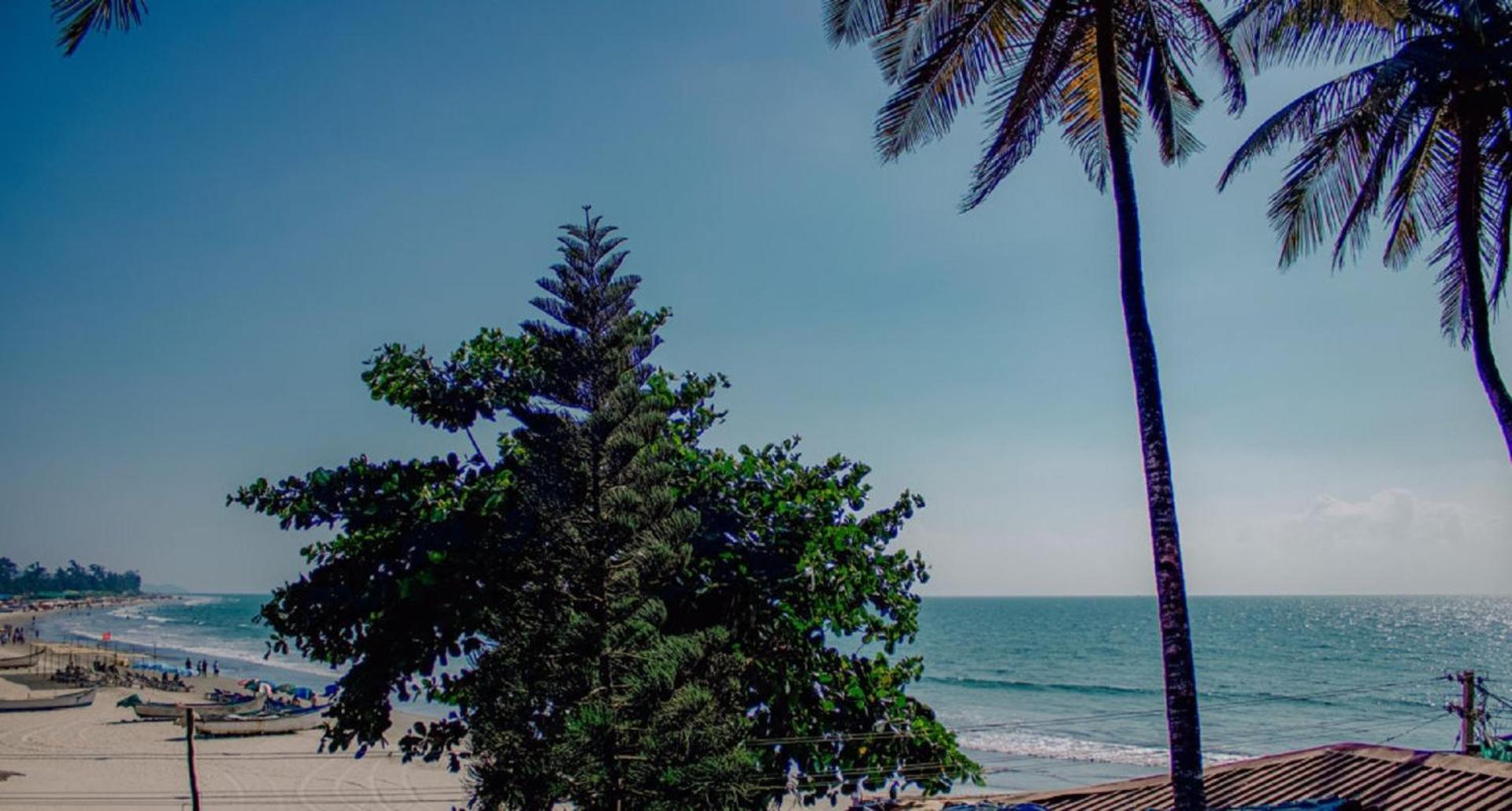 गेस्ट हाउस Is It Beachfront - Rooms, Cafe & Events *
